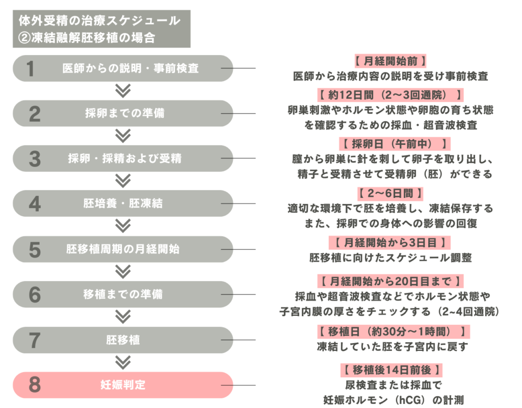体外受精のスケジュール（凍結融解胚移植）