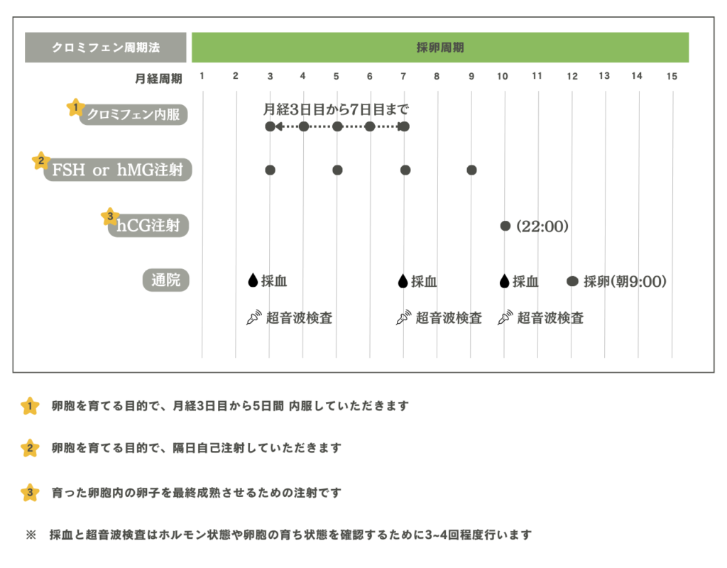 クロミフェン周期法のスケジュール