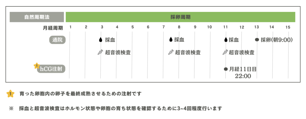 自然周期法のスケジュール