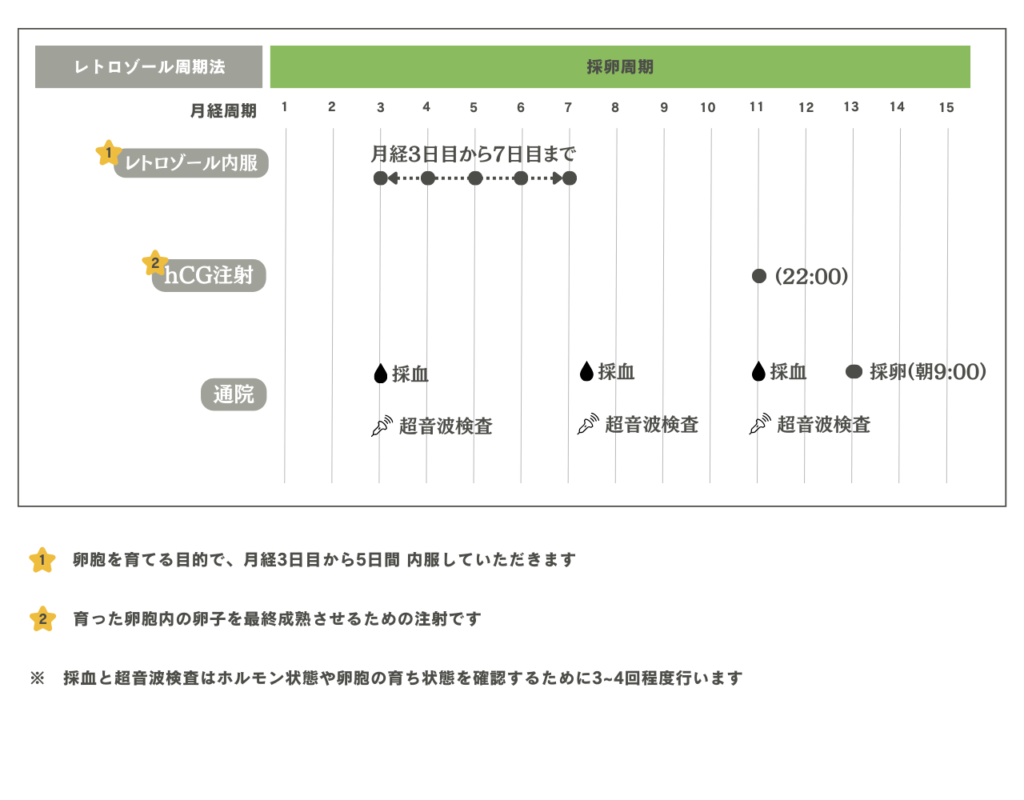 レトロゾール周期法のスケジュール