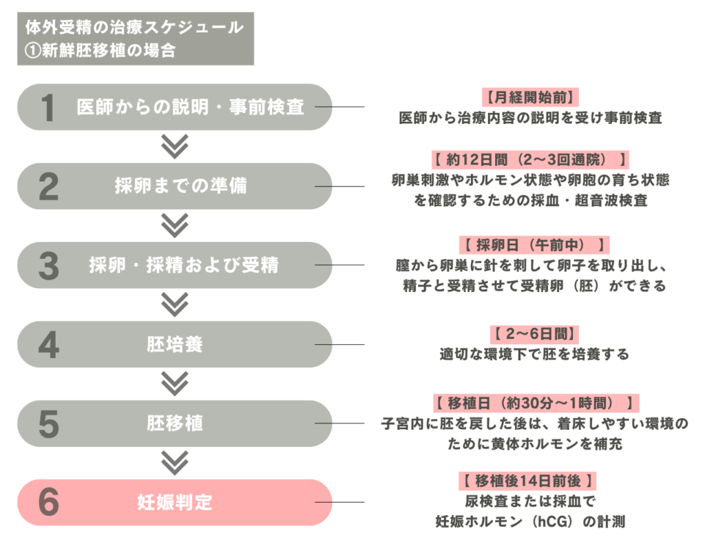 体外受精のスケジュール（新鮮胚移植）